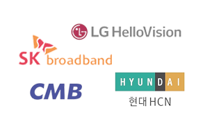 지역케이블TV(SO)